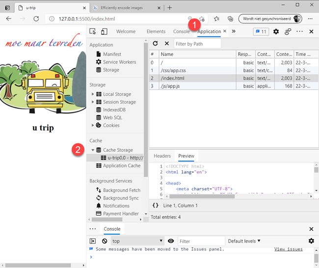 Inspection Cache Storage u-trip0.0 in Edge